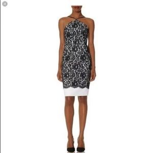 The Limited Scandal Collection Black & White Lace Cocktail Dress
